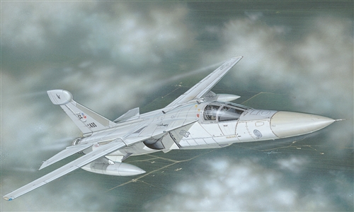 EF- 111 A Raven 1:72 Italeri 01235 EF- 111 A Raven 1:72 Italeri 01235