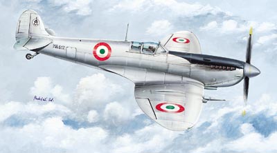 Supermarine Spitfire Mk. IX C 51 Stormo  1:72 Kopro 3172